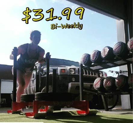 SKBUILT GYM Price
